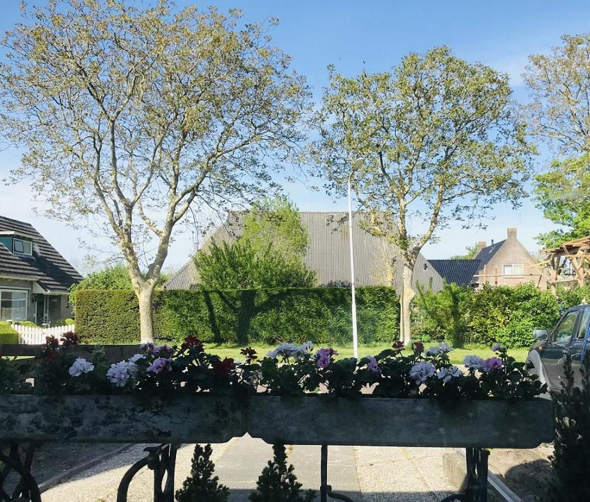 Bed and Breakfast De Fryske Wyn Ferwerd Exterior foto